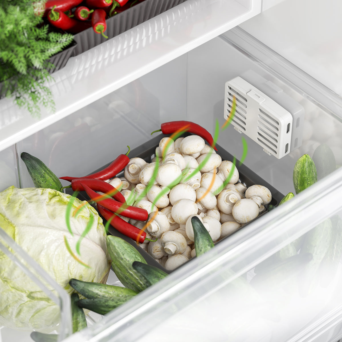 iTouchless 2 Pack Stick on Odor Filters for Refrigerator or Trash Can in refrigerator